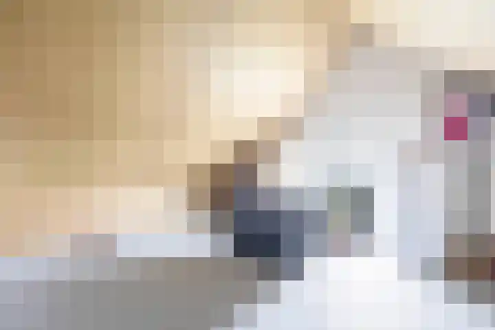 Veldleeuwerik 21 Venray thumbnail 34