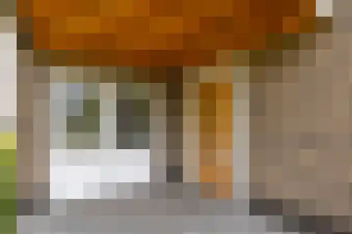 Veldleeuwerik 21 Venray thumbnail 35