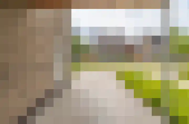 Veldleeuwerik 21 Venray thumbnail 36
