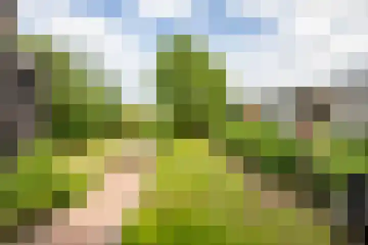 Veldleeuwerik 21 Venray thumbnail 38