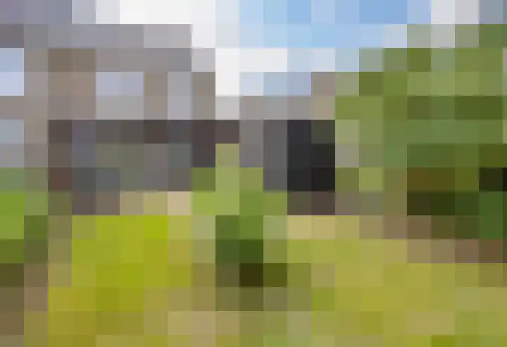 Veldleeuwerik 21 Venray thumbnail 40