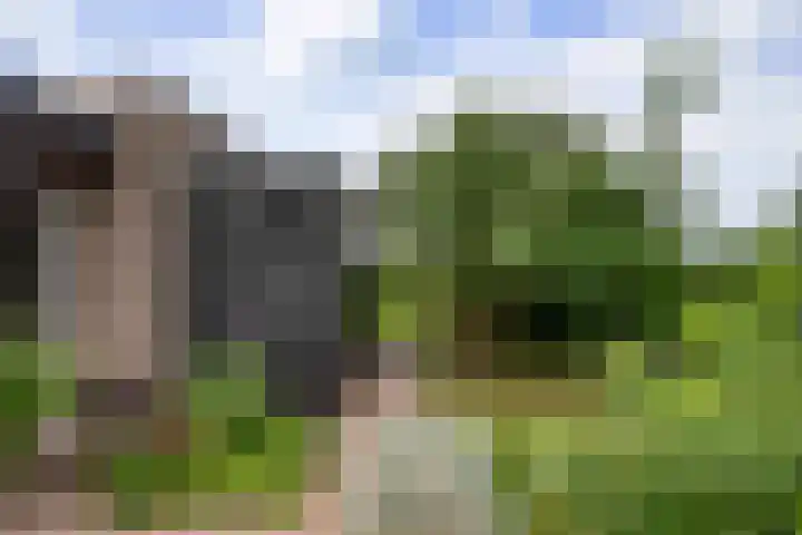 Veldleeuwerik 21 Venray thumbnail 41