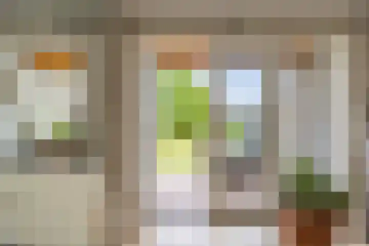 Veldleeuwerik 21 Venray thumbnail 6