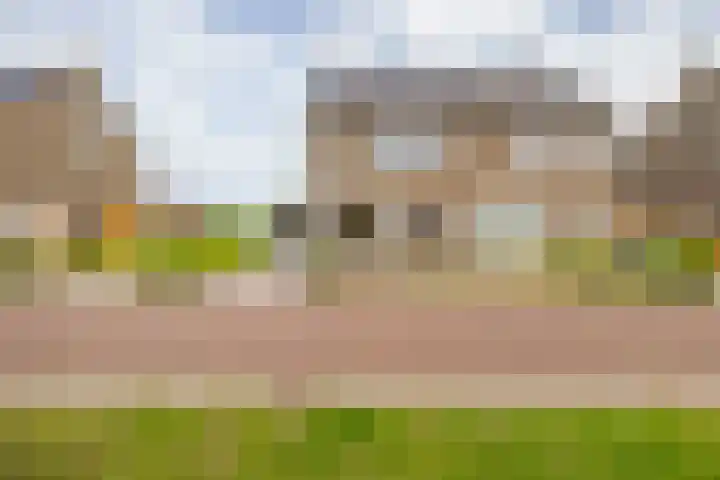 Veldleeuwerik 21 Venray thumbnail 7