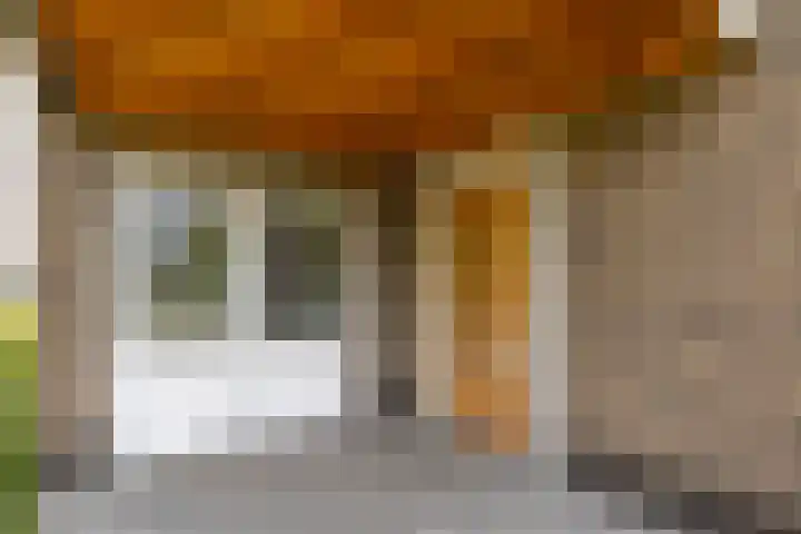 Veldleeuwerik 21 Venray thumbnail 8