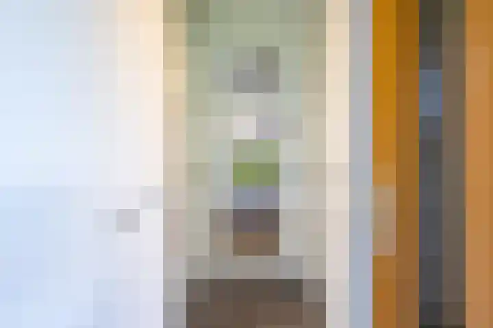 Veldleeuwerik 21 Venray thumbnail 9