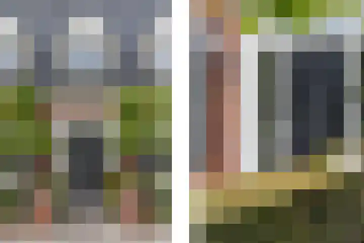 Veldleeuwerik 3 Tubbergen thumbnail 10