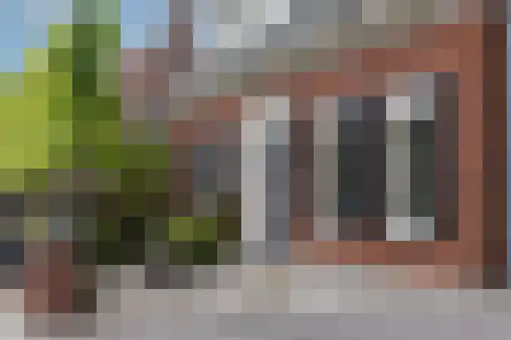 Veldleeuwerik 3 Tubbergen thumbnail 11