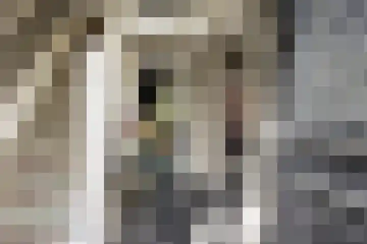 Veldleeuwerik 3 Tubbergen thumbnail 12