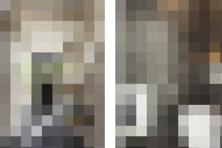 Veldleeuwerik 3 Tubbergen thumbnail 13