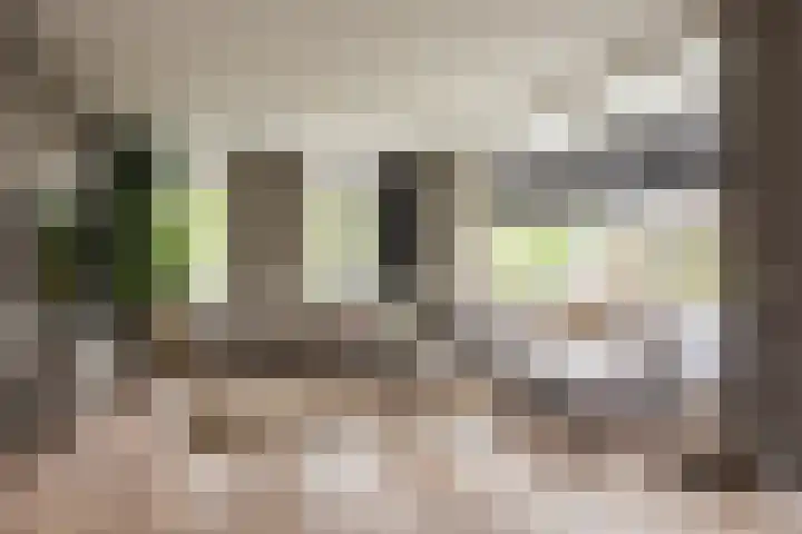 Veldleeuwerik 3 Tubbergen thumbnail 16