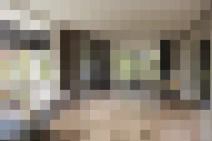 Veldleeuwerik 3 Tubbergen thumbnail 18