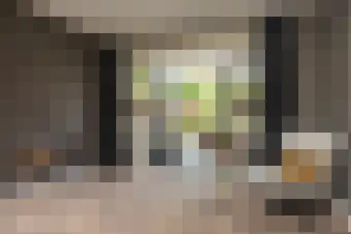 Veldleeuwerik 3 Tubbergen thumbnail 19
