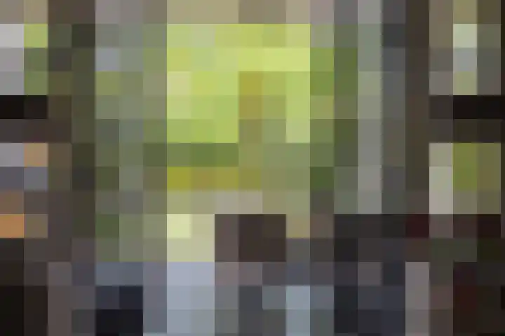 Veldleeuwerik 3 Tubbergen thumbnail 20