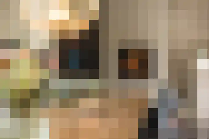 Veldleeuwerik 3 Tubbergen thumbnail 22