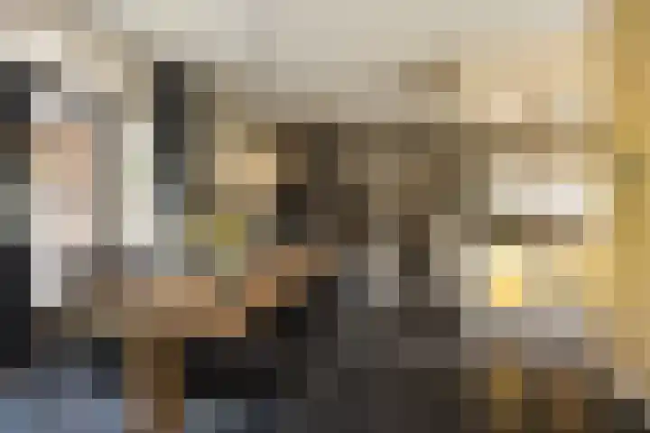 Veldleeuwerik 3 Tubbergen thumbnail 23