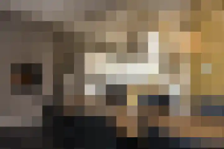 Veldleeuwerik 3 Tubbergen thumbnail 24