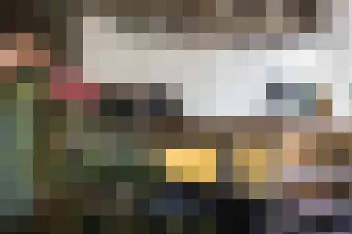 Veldleeuwerik 3 Tubbergen thumbnail 25
