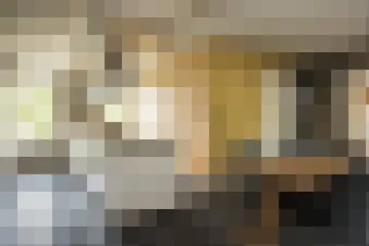 Veldleeuwerik 3 Tubbergen thumbnail 26