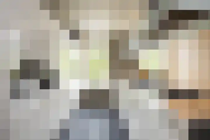 Veldleeuwerik 3 Tubbergen thumbnail 27