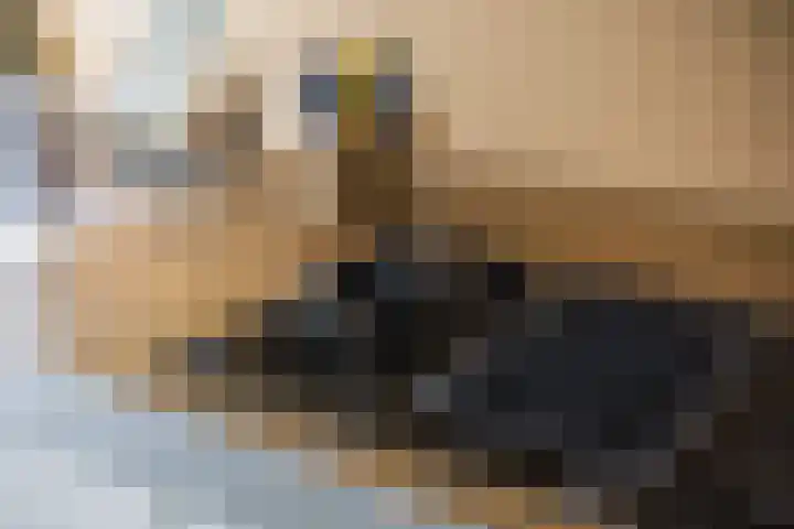 Veldleeuwerik 3 Tubbergen thumbnail 28