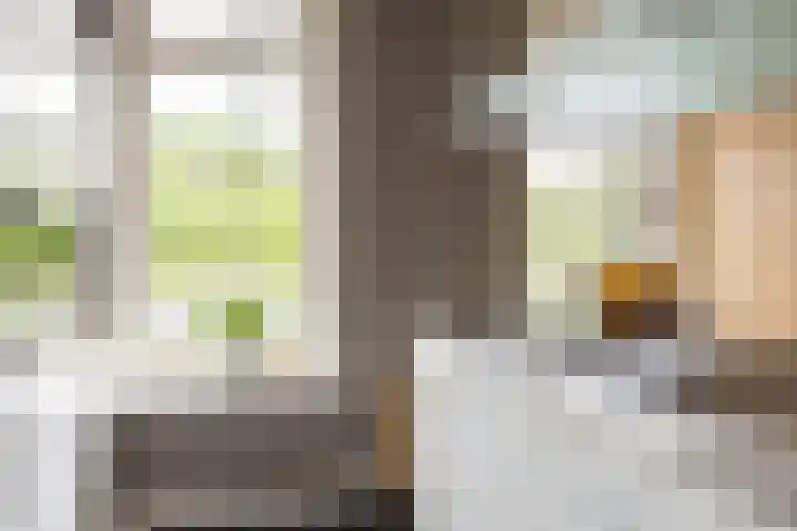 Veldleeuwerik 3 Tubbergen thumbnail 29
