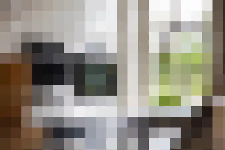 Veldleeuwerik 3 Tubbergen thumbnail 31