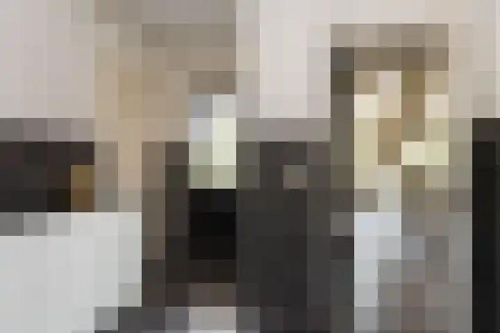 Veldleeuwerik 3 Tubbergen thumbnail 32