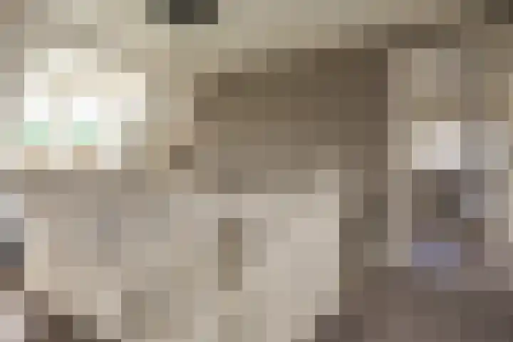 Veldleeuwerik 3 Tubbergen thumbnail 35