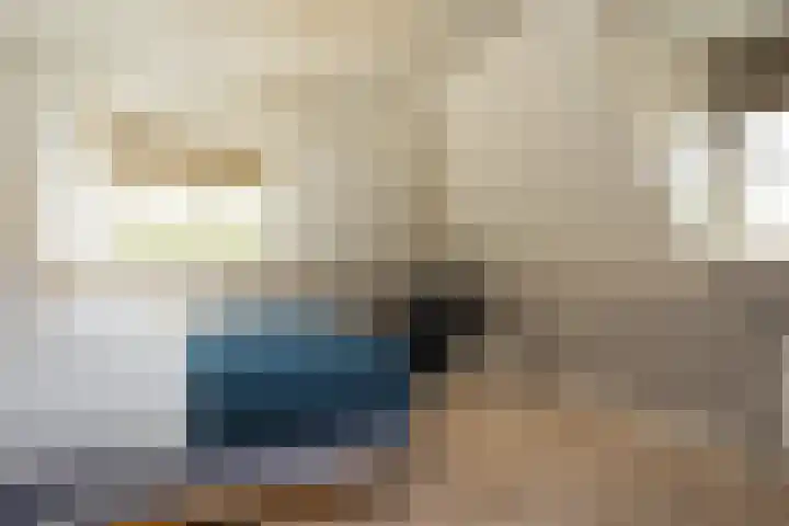 Veldleeuwerik 3 Tubbergen thumbnail 37