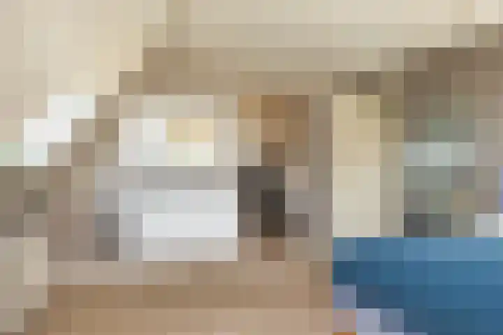 Veldleeuwerik 3 Tubbergen thumbnail 38