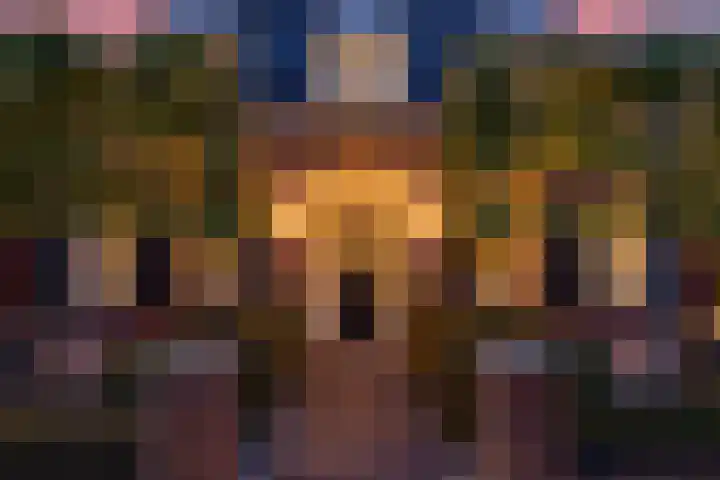 Veldleeuwerik 3 Tubbergen thumbnail 4