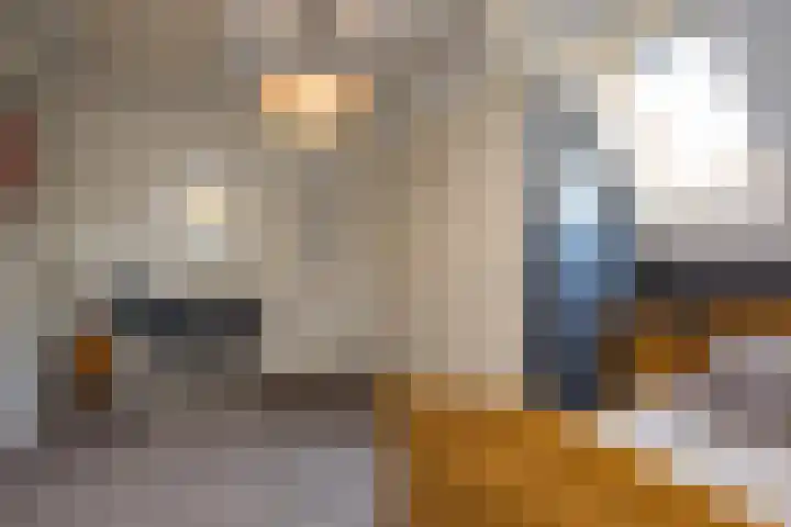 Veldleeuwerik 3 Tubbergen thumbnail 41