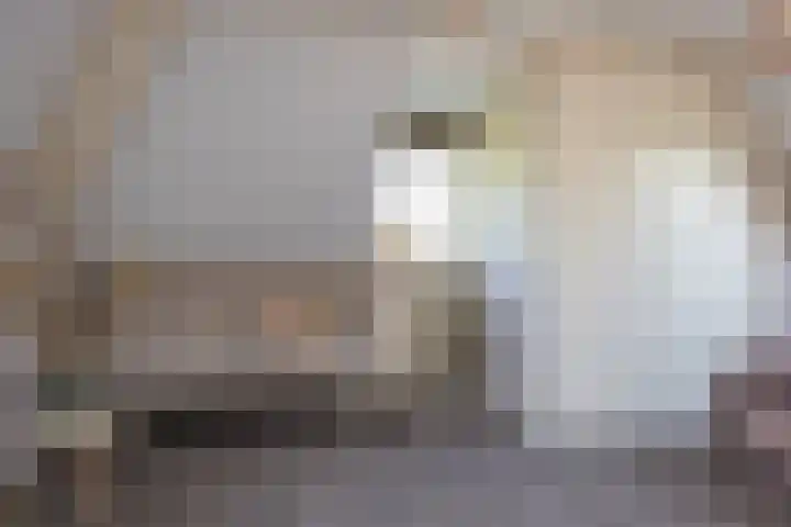Veldleeuwerik 3 Tubbergen thumbnail 42