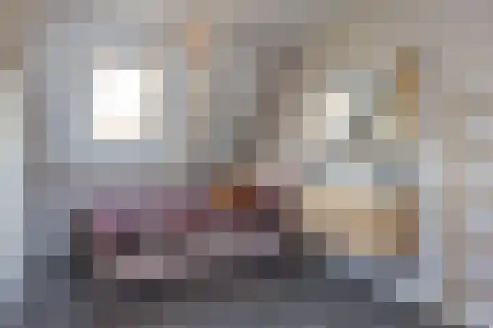 Veldleeuwerik 3 Tubbergen thumbnail 43