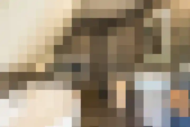 Veldleeuwerik 3 Tubbergen thumbnail 44