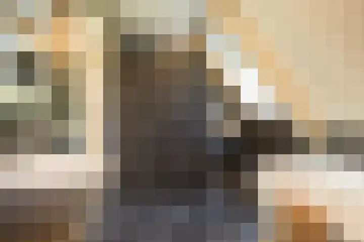 Veldleeuwerik 3 Tubbergen thumbnail 45