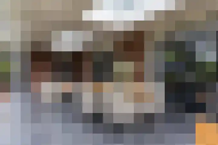 Veldleeuwerik 3 Tubbergen thumbnail 48