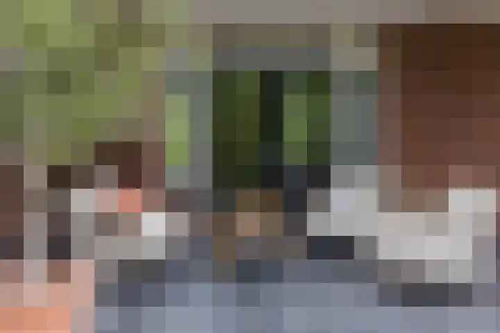 Veldleeuwerik 3 Tubbergen thumbnail 49