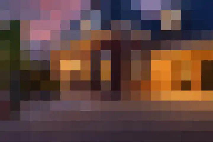 Veldleeuwerik 3 Tubbergen thumbnail 5