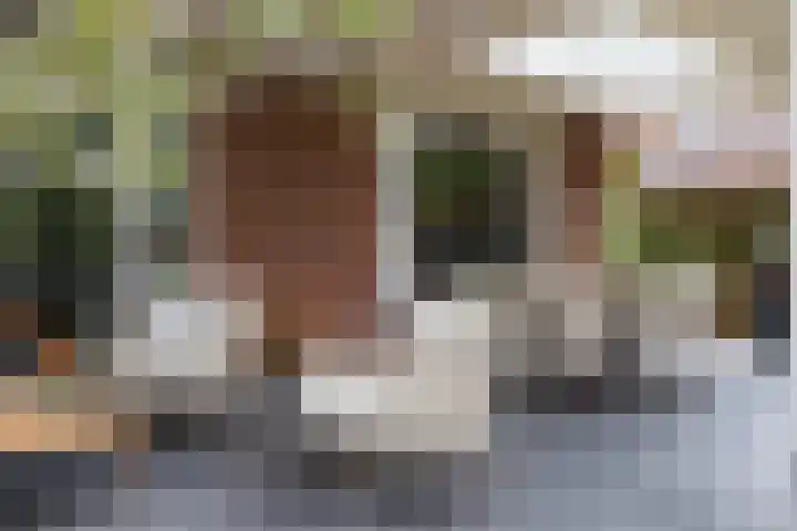 Veldleeuwerik 3 Tubbergen thumbnail 50