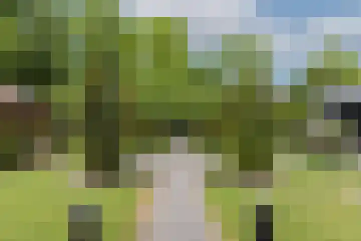 Veldleeuwerik 3 Tubbergen thumbnail 52