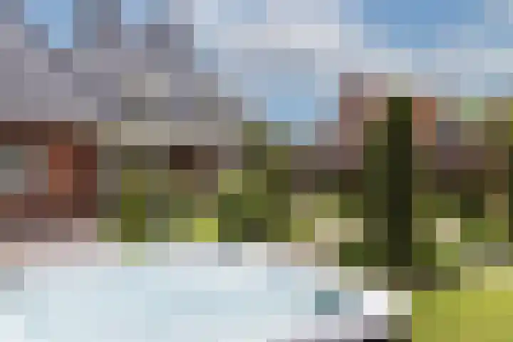 Veldleeuwerik 3 Tubbergen thumbnail 53