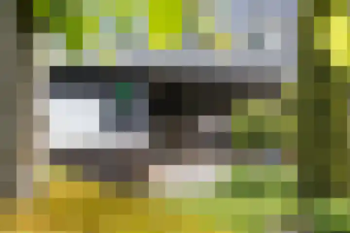 Veldleeuwerik 3 Tubbergen thumbnail 54