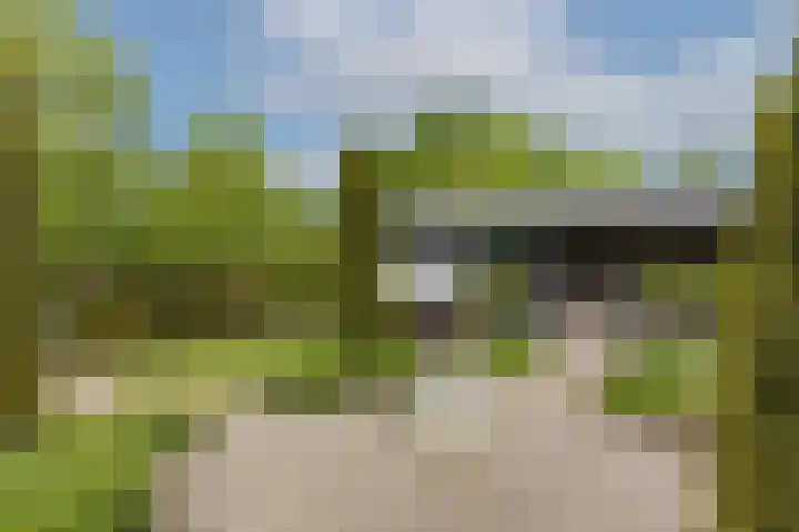 Veldleeuwerik 3 Tubbergen thumbnail 55