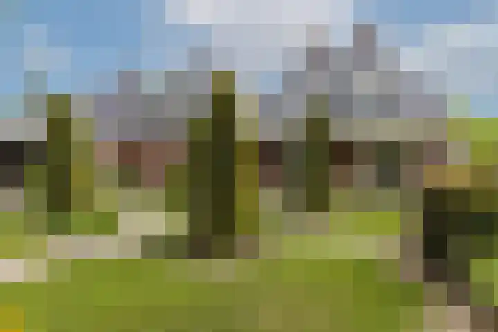 Veldleeuwerik 3 Tubbergen thumbnail 59