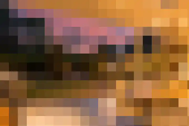 Veldleeuwerik 3 Tubbergen thumbnail 61