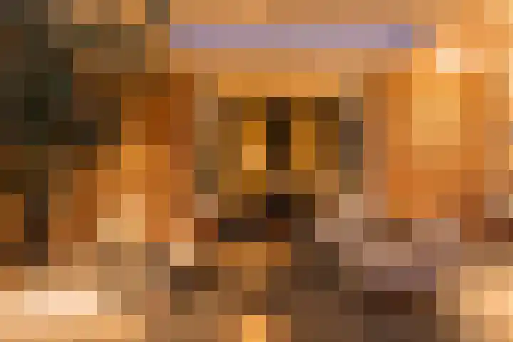 Veldleeuwerik 3 Tubbergen thumbnail 62