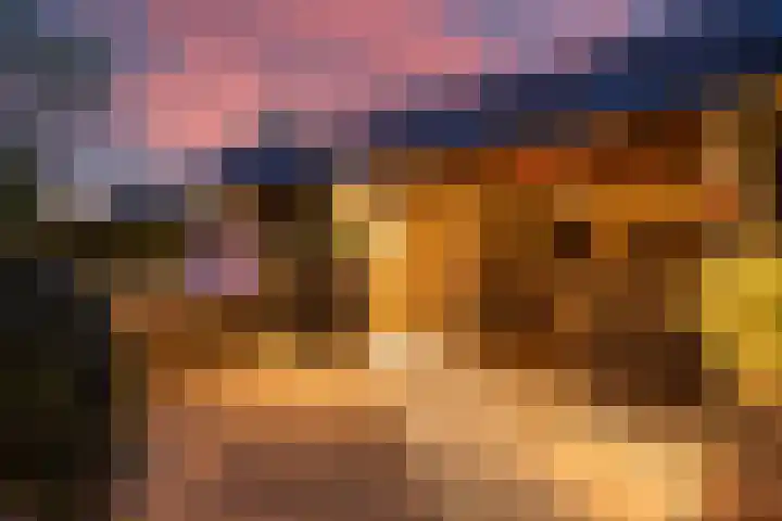Veldleeuwerik 3 Tubbergen thumbnail 66