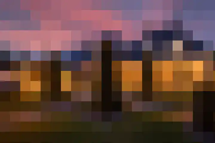 Veldleeuwerik 3 Tubbergen thumbnail 68